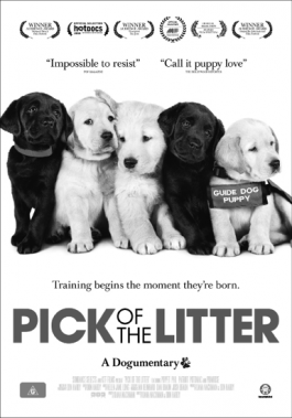 Poster for Pick of the Litter