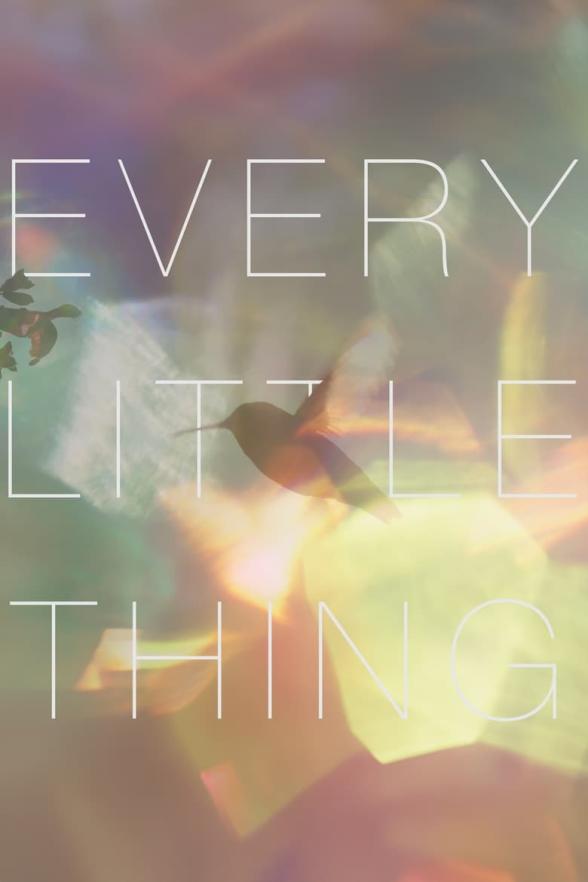 Poster image for Every Little Thing