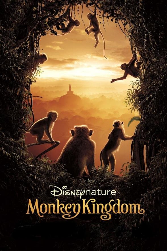 Poster image for MONKEY KINGDOM: A CONSERVATION STORY