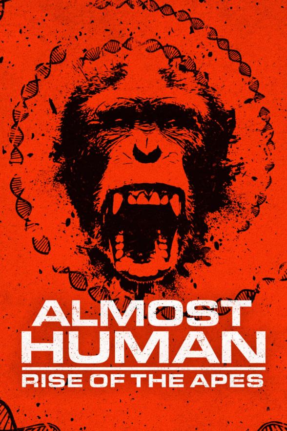 Poster image for Almost Human