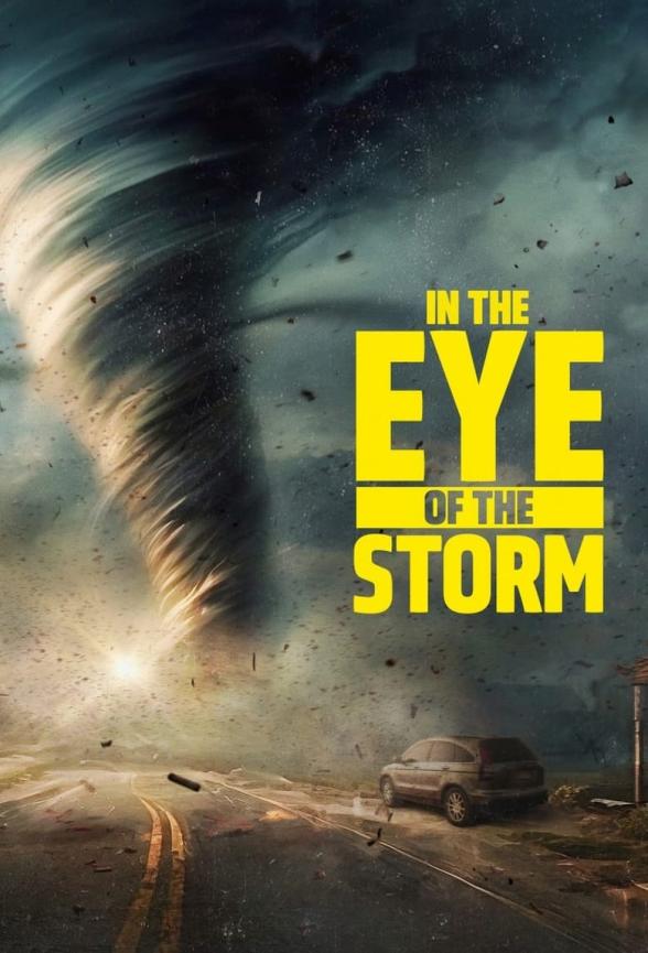 Poster image for In the Eye of the Storm