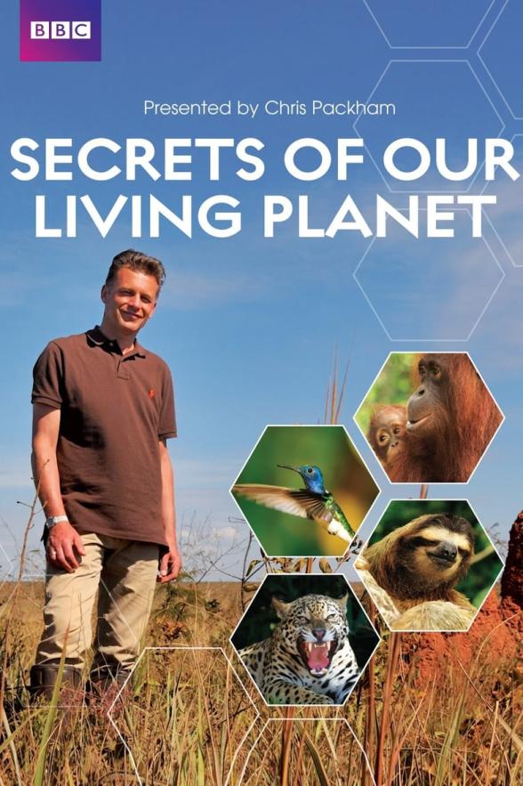 Poster image for SECRETS OF OUR LIVING PLANET