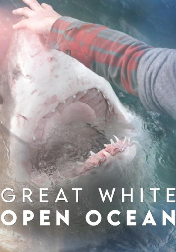 Poster image for Great White Open Ocean