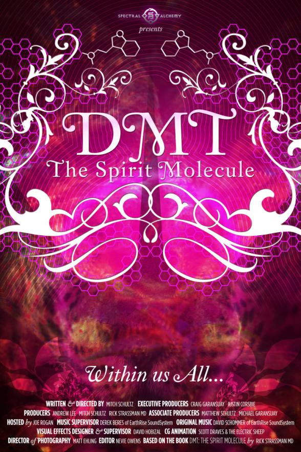 Poster image for DMT: THE SPIRIT MOLECULE