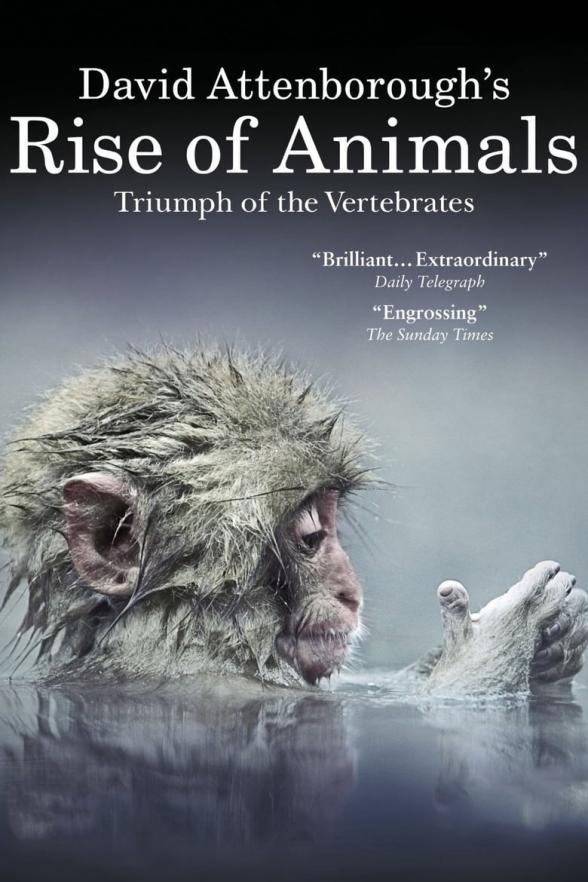 Poster image for DAVID ATTENBOROUGH'S RISE OF ANIMALS: TRIUMPH OF THE VERTERBRATES