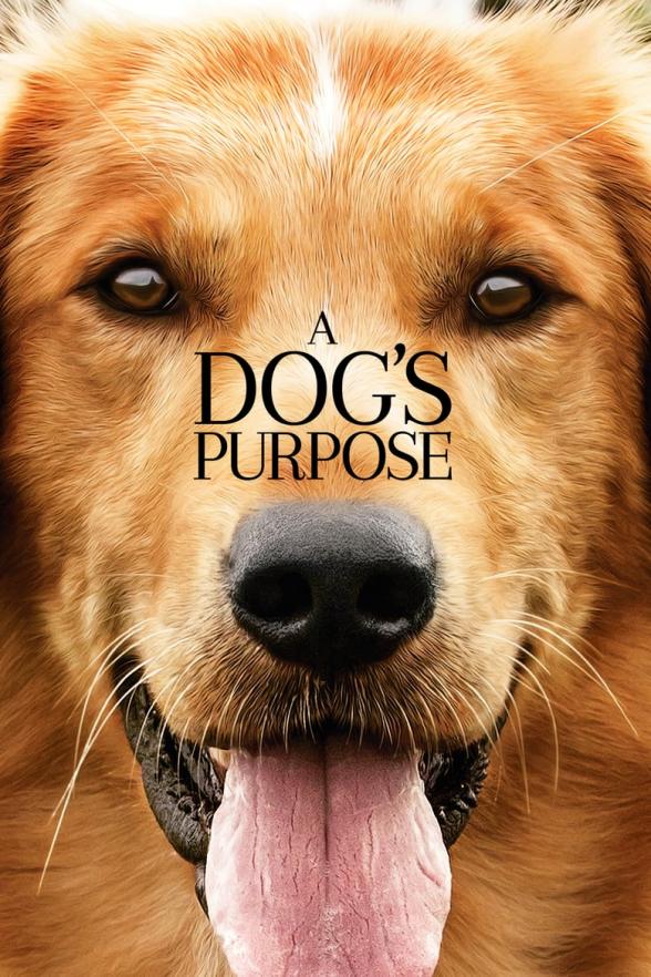 Poster image for A DOG'S PURPOSE