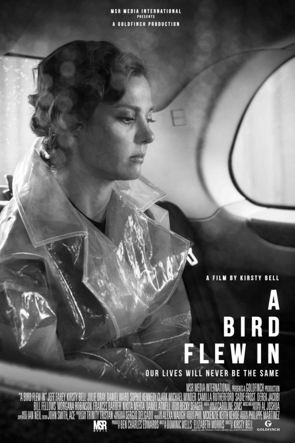 Poster image for A Bird Flew In