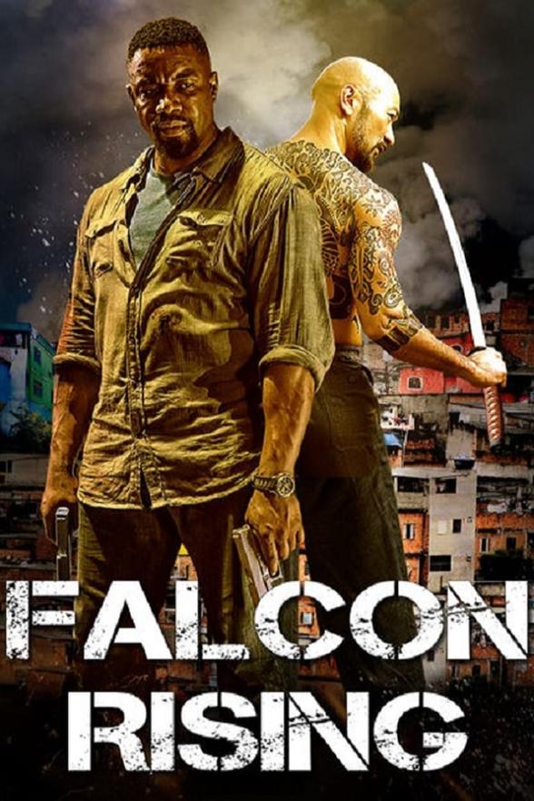 Poster image for FALCON RISING