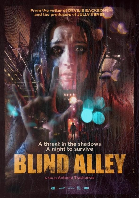 Poster image for BLIND ALLEY