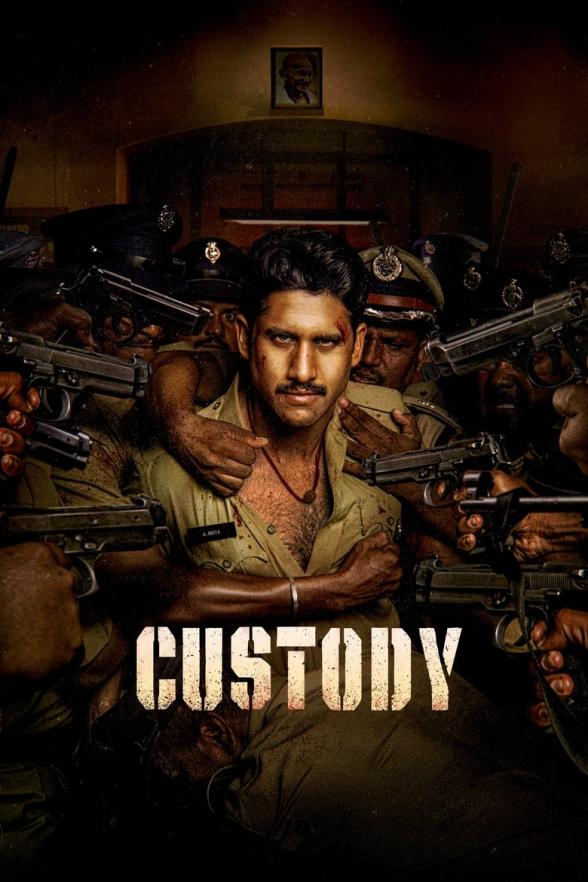 Poster image for Custody