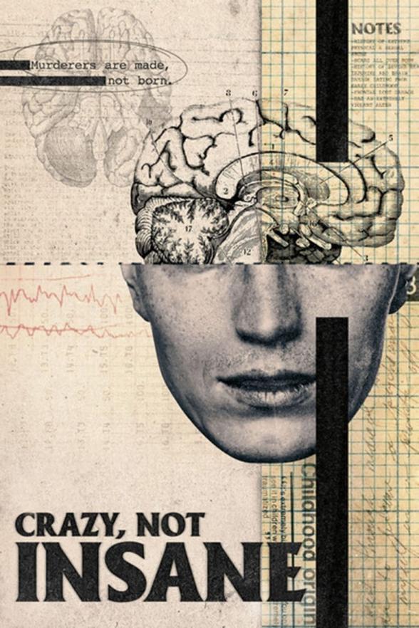 Poster image for Crazy, Not Insane
