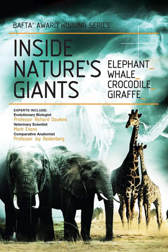 Poster image for INSIDE NATURE'S GIANTS - SERIES 1