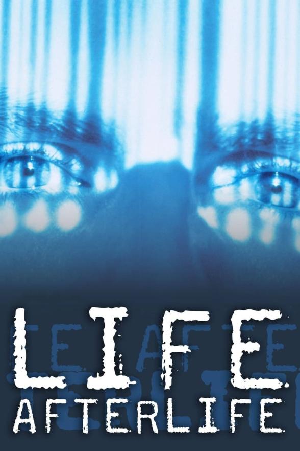 Poster image for America Undercover: Life Afterlife
