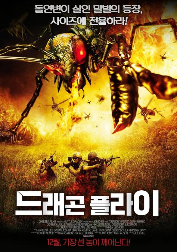 Poster image for DRAGONWASPS