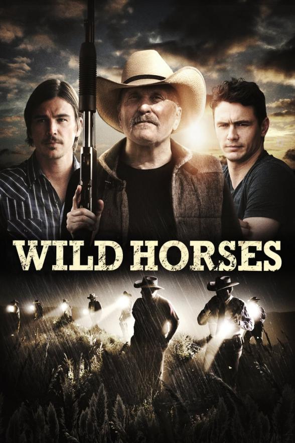 Poster image for WILD HORSES