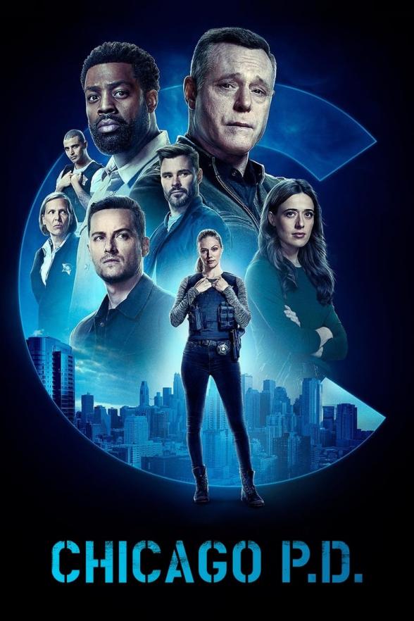 Poster image for CHICAGO P.D. - SEASON 1