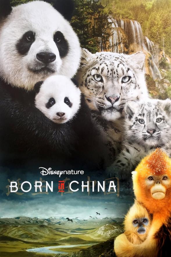 Poster image for BORN IN CHINA
