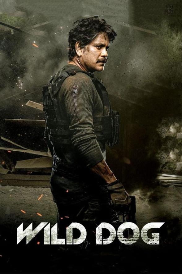 Poster image for WILD DOG
