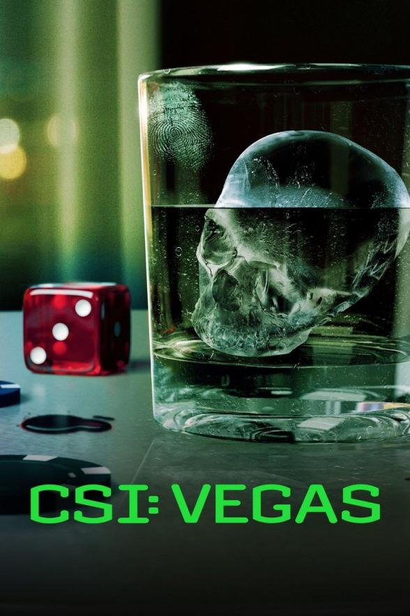 Poster image for CSI: Vegas - Season 3