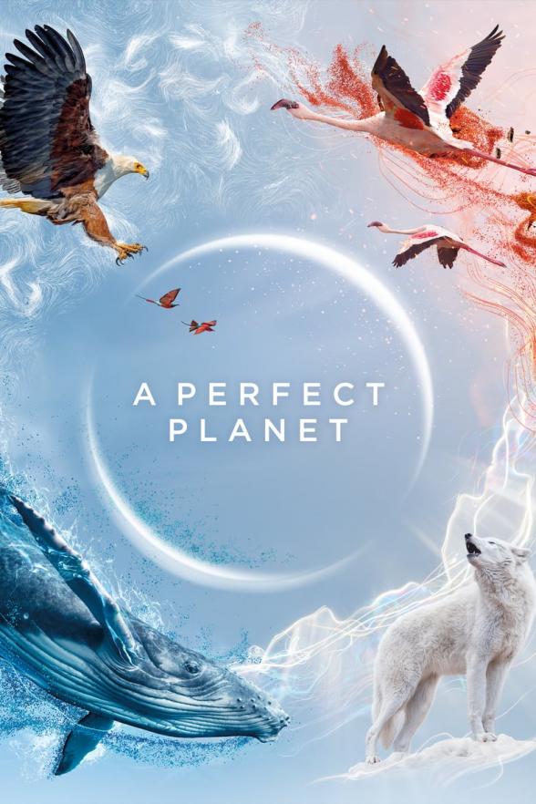 Poster image for A PERFECT PLANET: SEASON 1