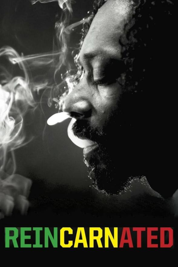 Poster image for REINCARNATED