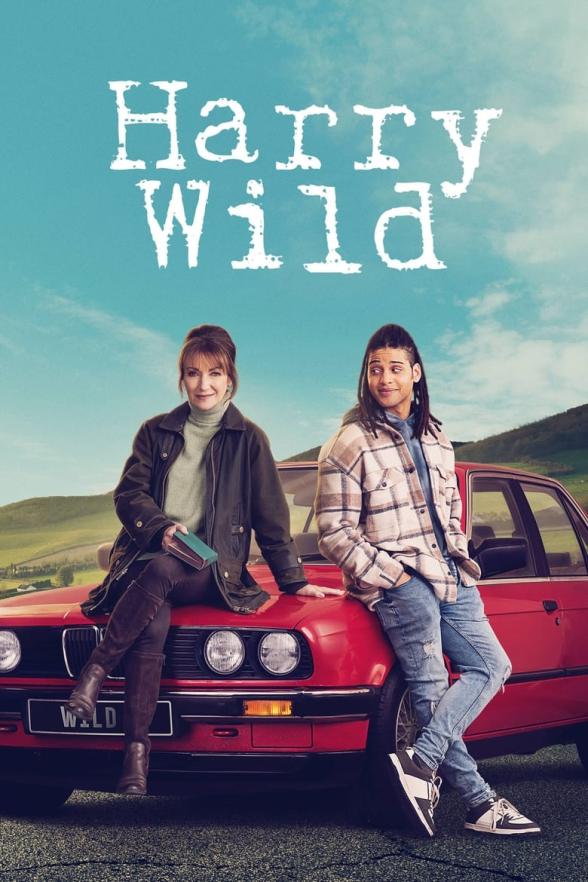 Poster image for Harry Wild, Series 4