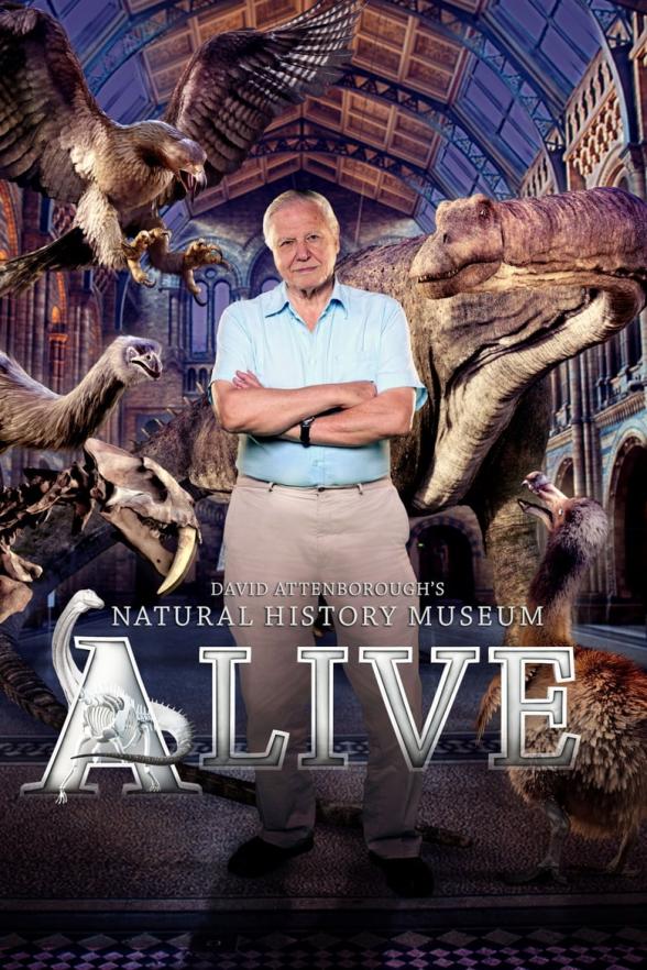 Poster image for DAVID ATTENBOROUGH'S NATURAL HISTORY MUSEUM ALIVE