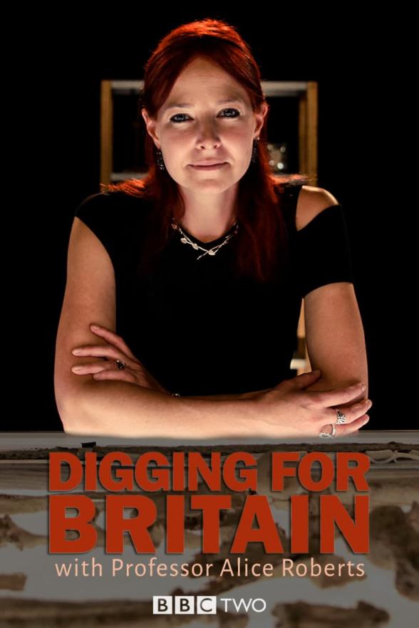 Poster image for DIGGING FOR BRITAIN