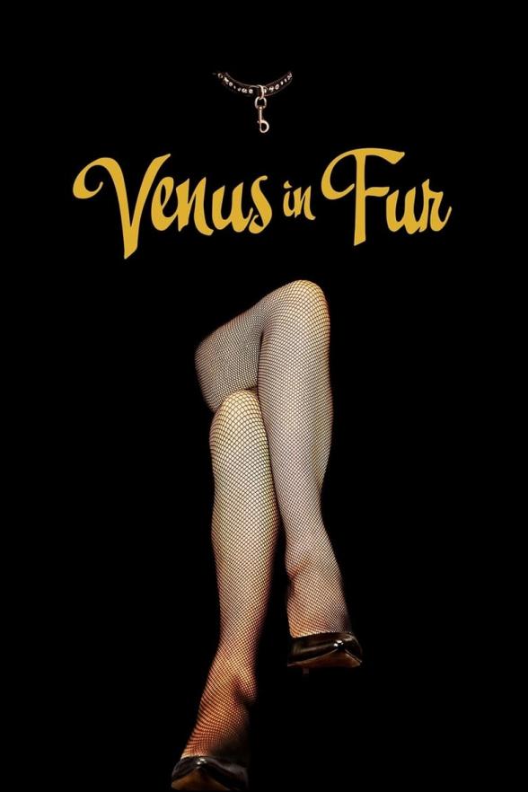 Poster image for LA VENUS A LA FOURRURE