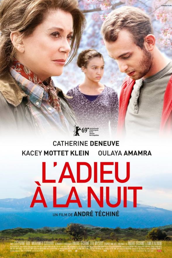 Poster image for L'ADIEU A LA NUIT