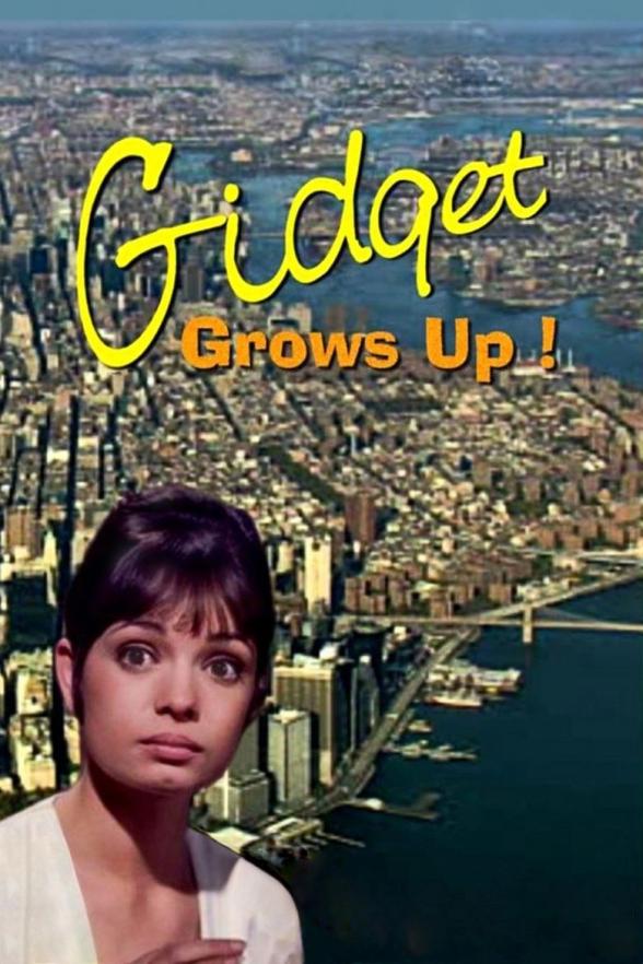 Poster image for Gidget Grows Up