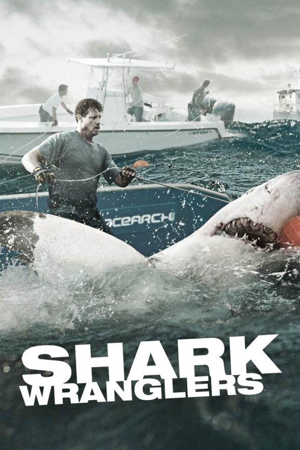 Poster image for SHARK WRANGLERS SEASON 1