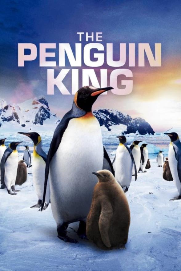 Poster image for THE PENGUIN KING