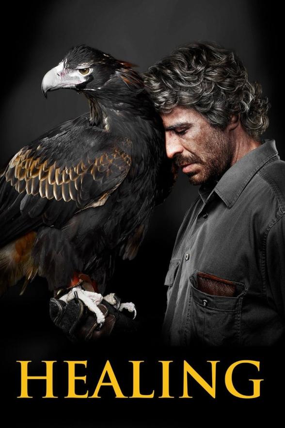 Poster image for HEALING