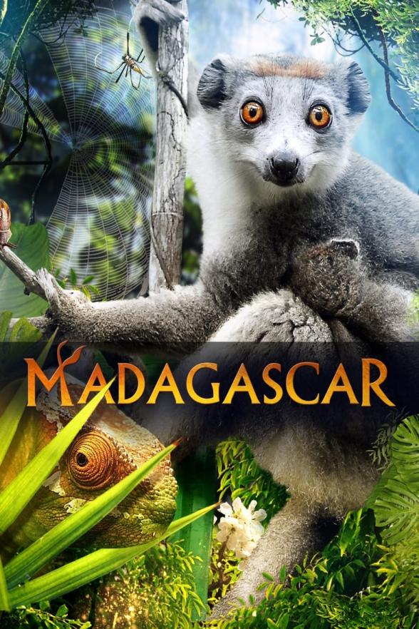 Poster image for MADAGASCAR 3D