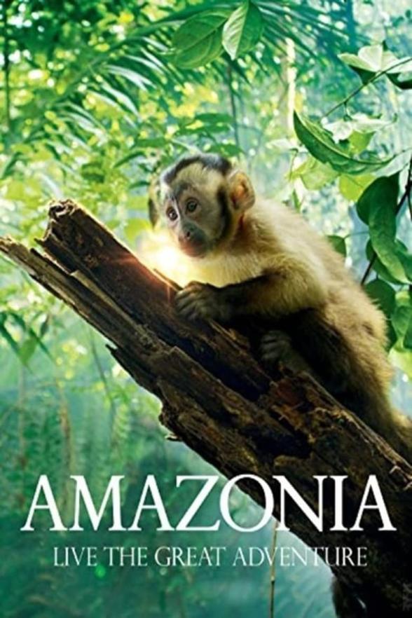 Poster image for AMAZONIA