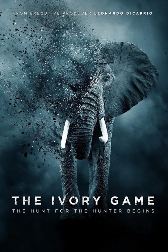 Poster image for THE IVORY GAME
