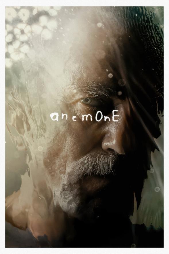 Poster image for Anemone