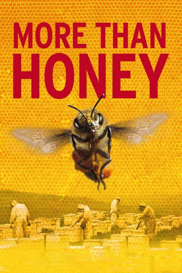 Poster image for MORE THAN HONEY