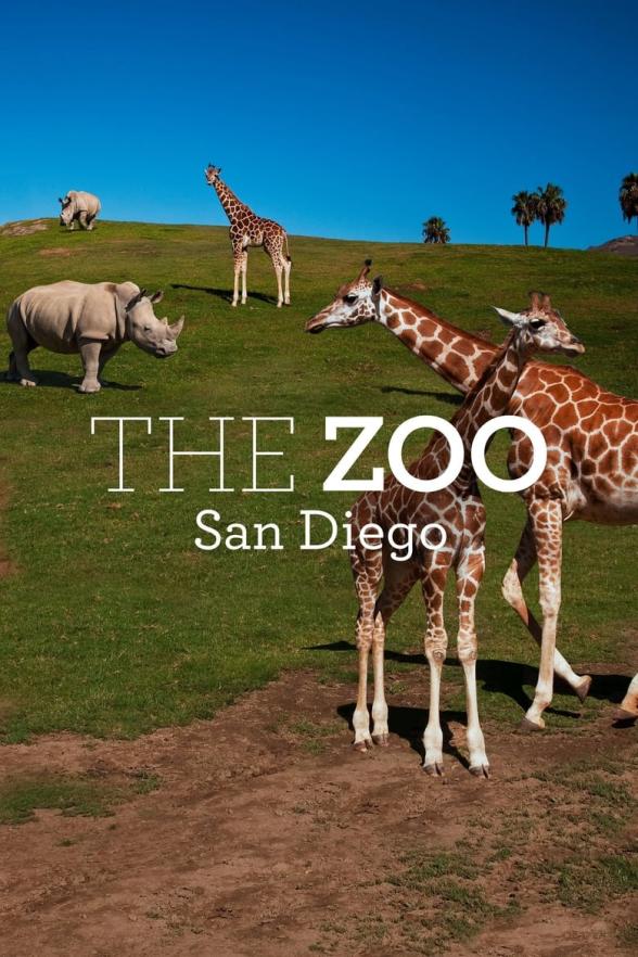 Poster image for The Zoo: San Diego Season 2