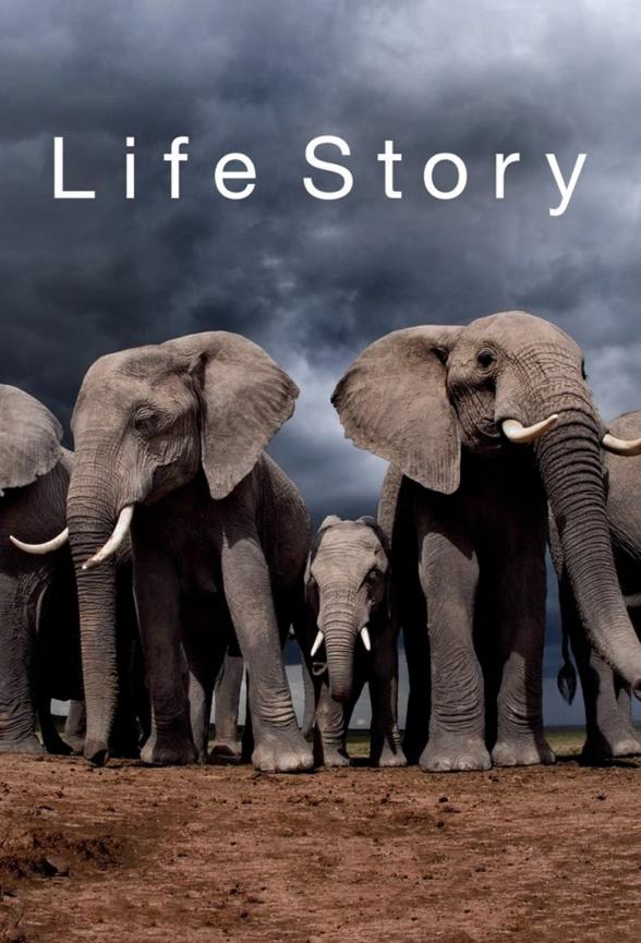 Poster image for LIFE STORY