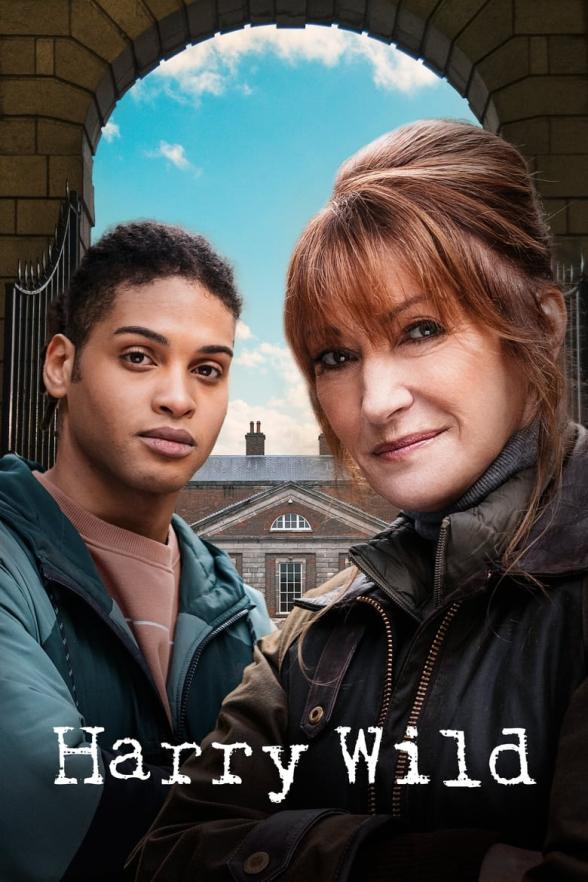 Poster image for Harry Wild: Series 2