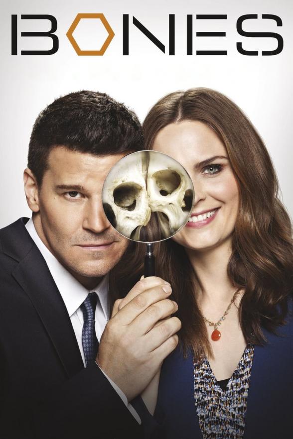 Poster image for BONES - SEASON 10
