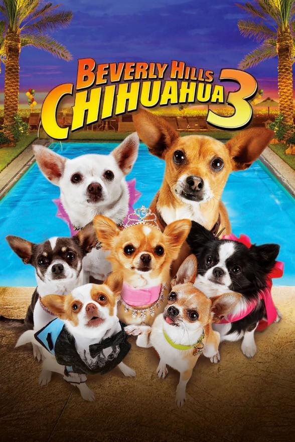 Poster image for BEVERLY HILLS CHIHUAHUA 3 - VIVA LA FIESTA!