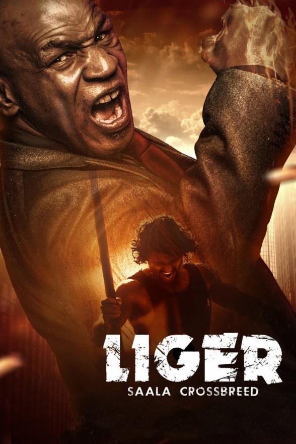 Poster image for LIGER