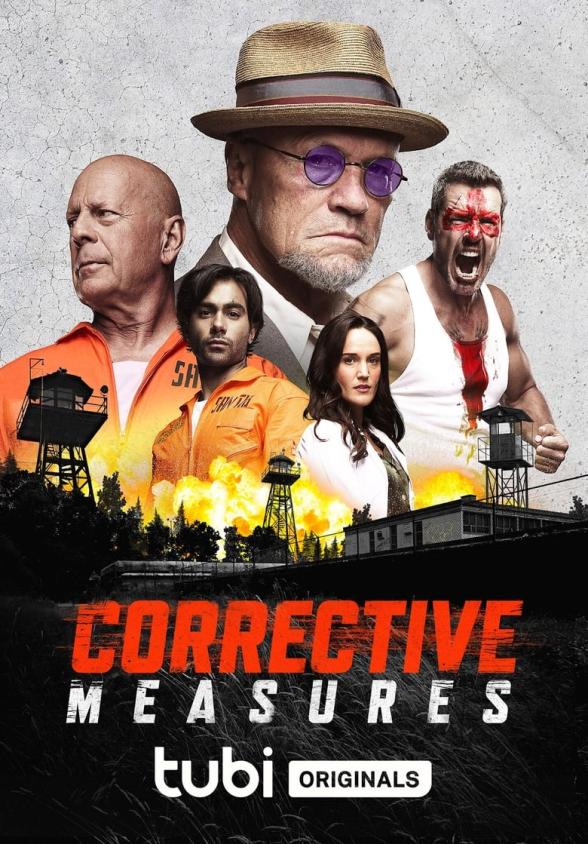 Poster image for CORRECTIVE MEASURES