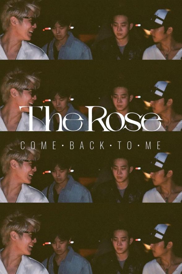 Poster image for The Rose: Come Back to Me