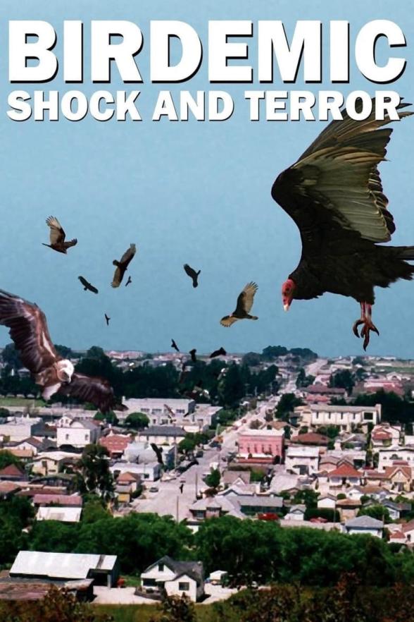 Poster image for BIRDEMIC : SHOCK AND TERROR