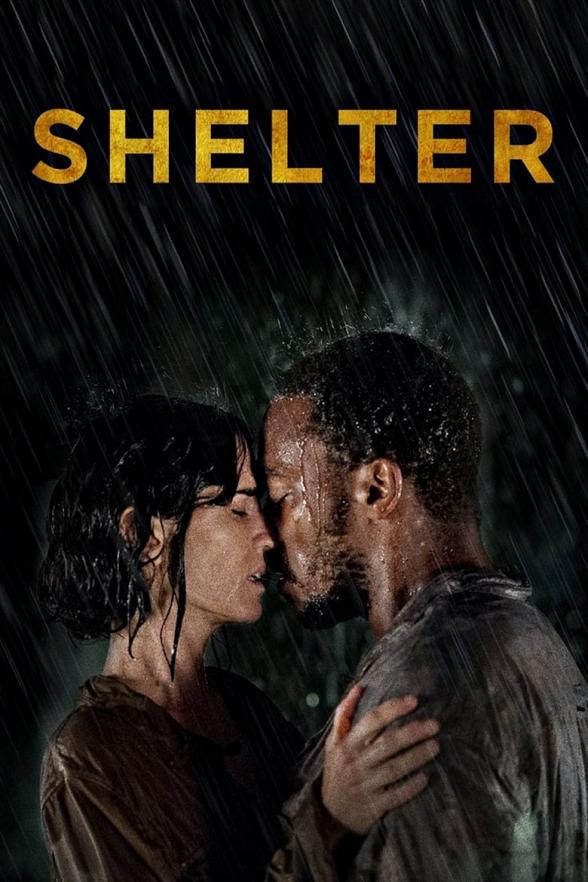 Poster image for SHELTER