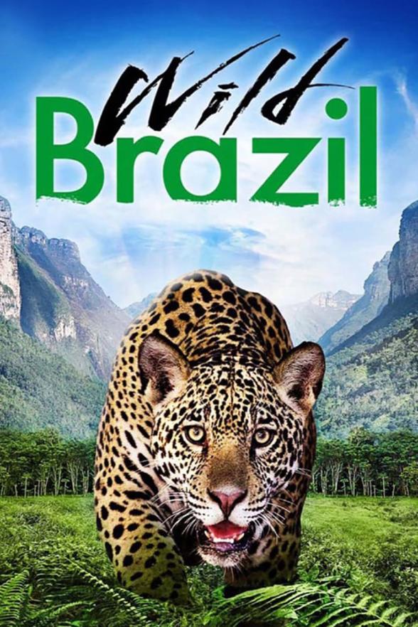 Poster image for WILD BRAZIL